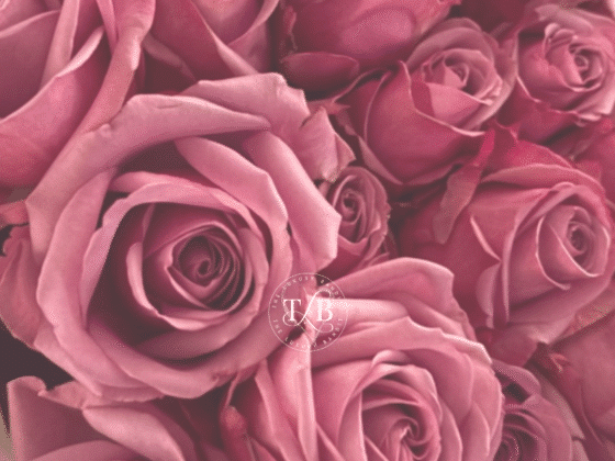 Stop and Smell the Roses: 5 Intentional Self-Care Tips for a High-Vibe Life